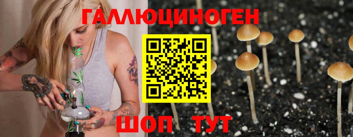 Галлюциногенные грибы MAGIC MUSHROOMS Волжск